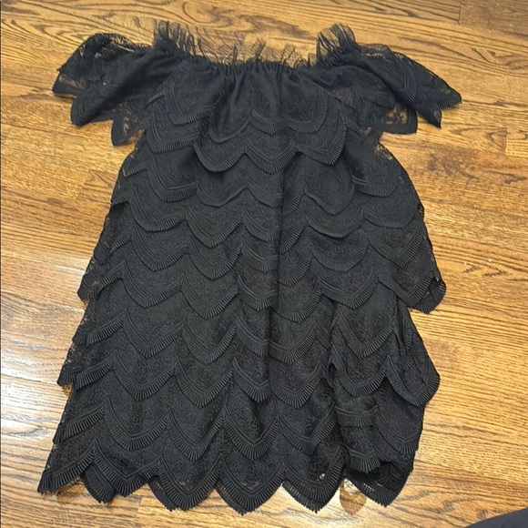 EUC ALEXIS Elegant Black Lace Dress SIZE MEDIUM - Picture 1 of 4
